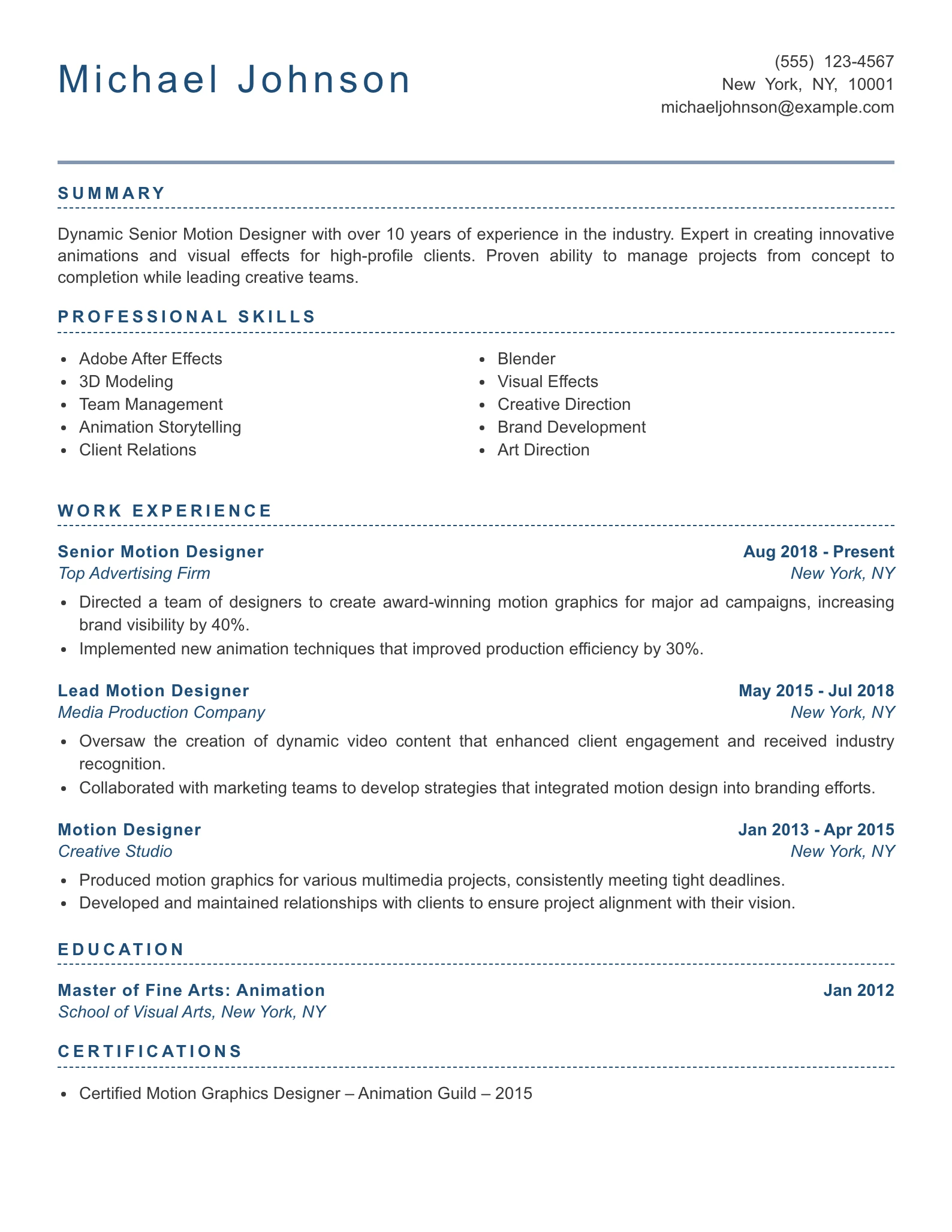 Senior Level Motion Designer Resume Example