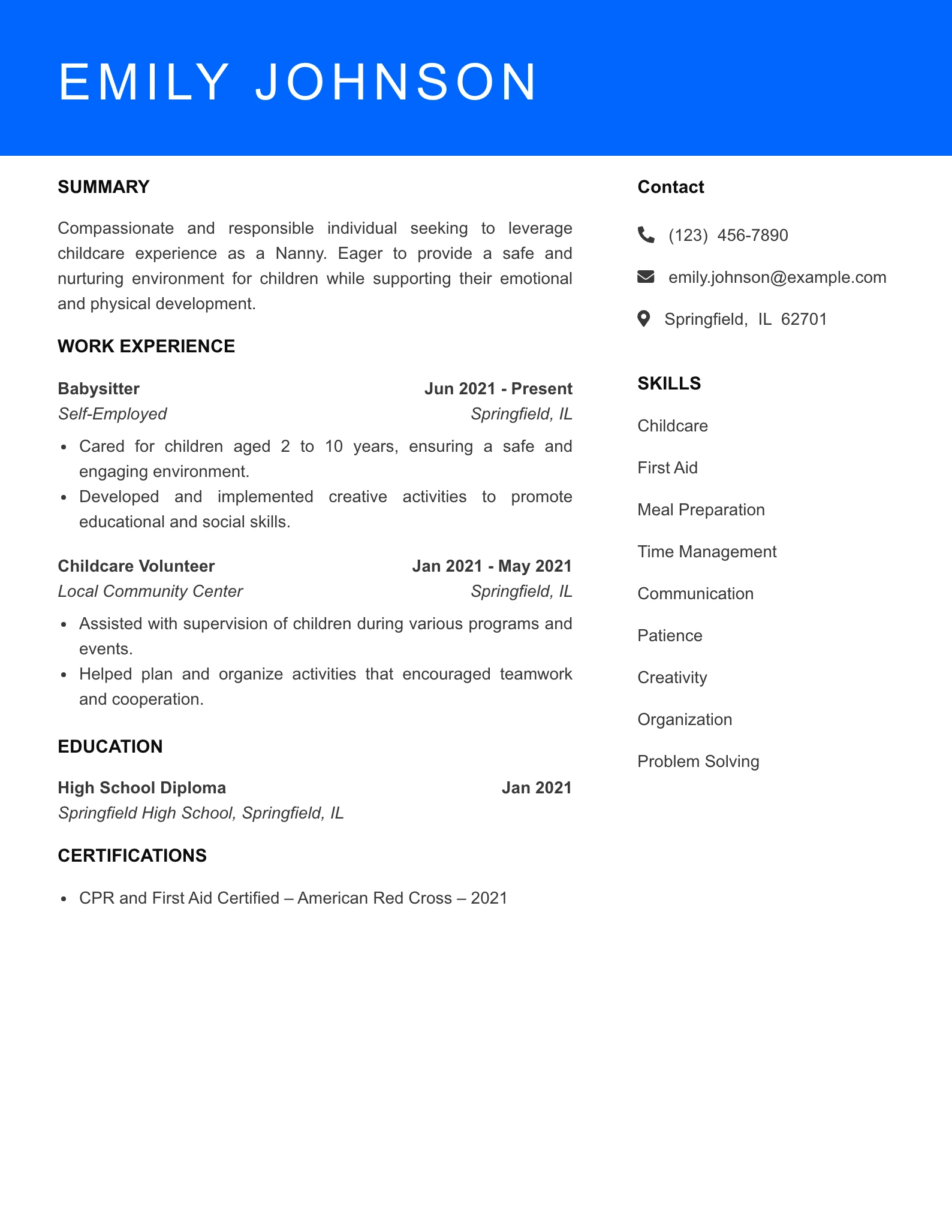 Selected Nanny Resume