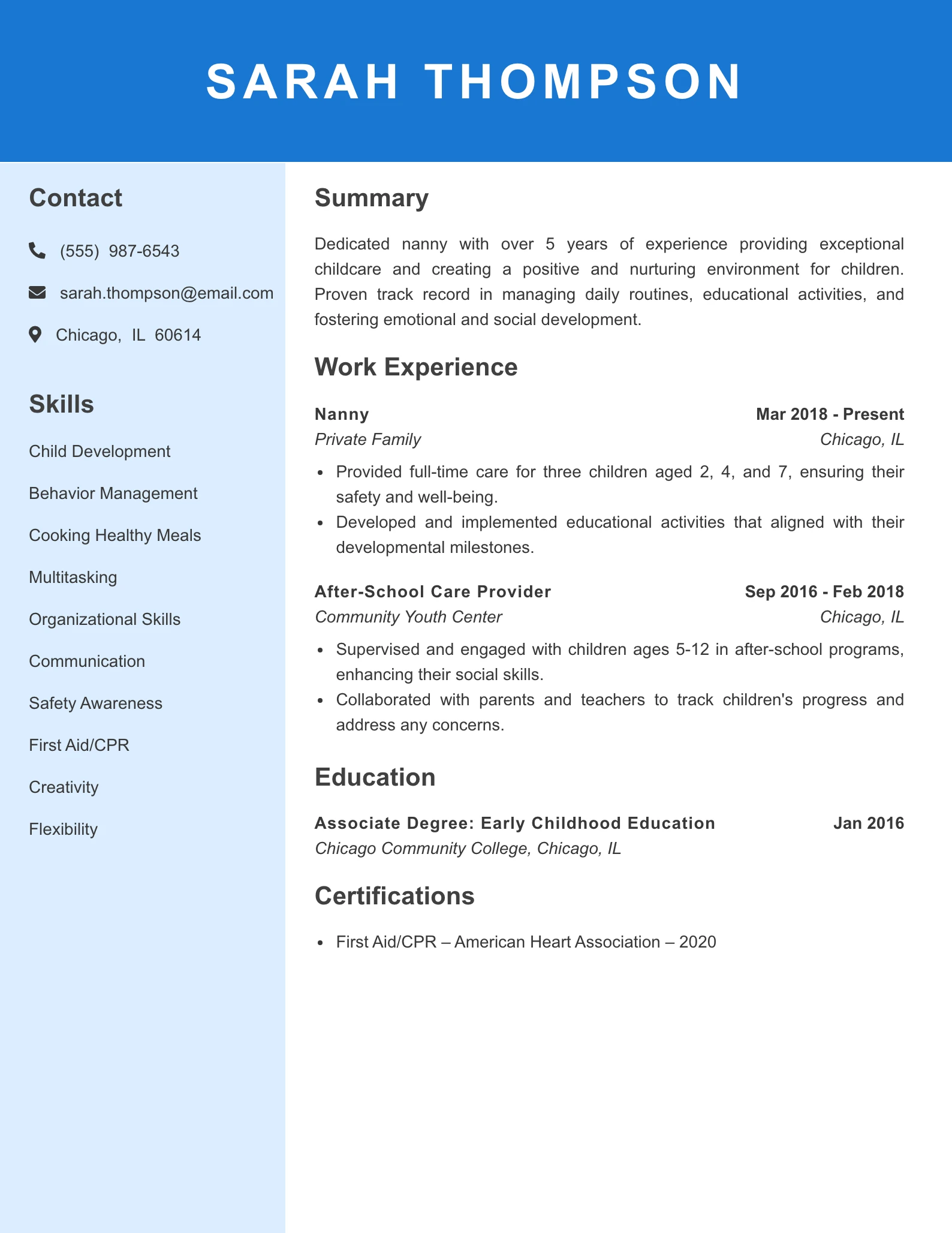 Mid Level Nanny Resume Example