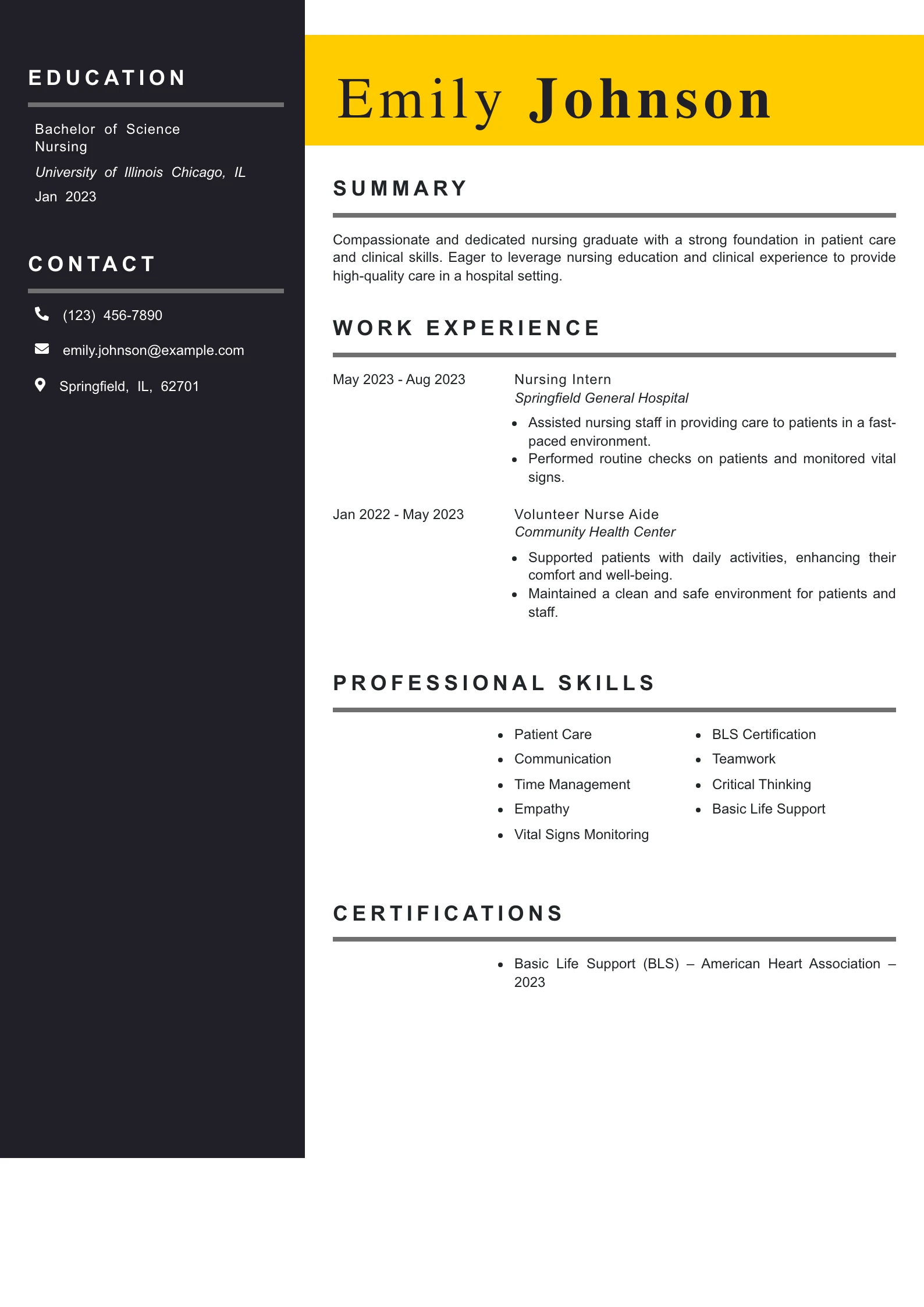 Entry Level Nursing Resume Example