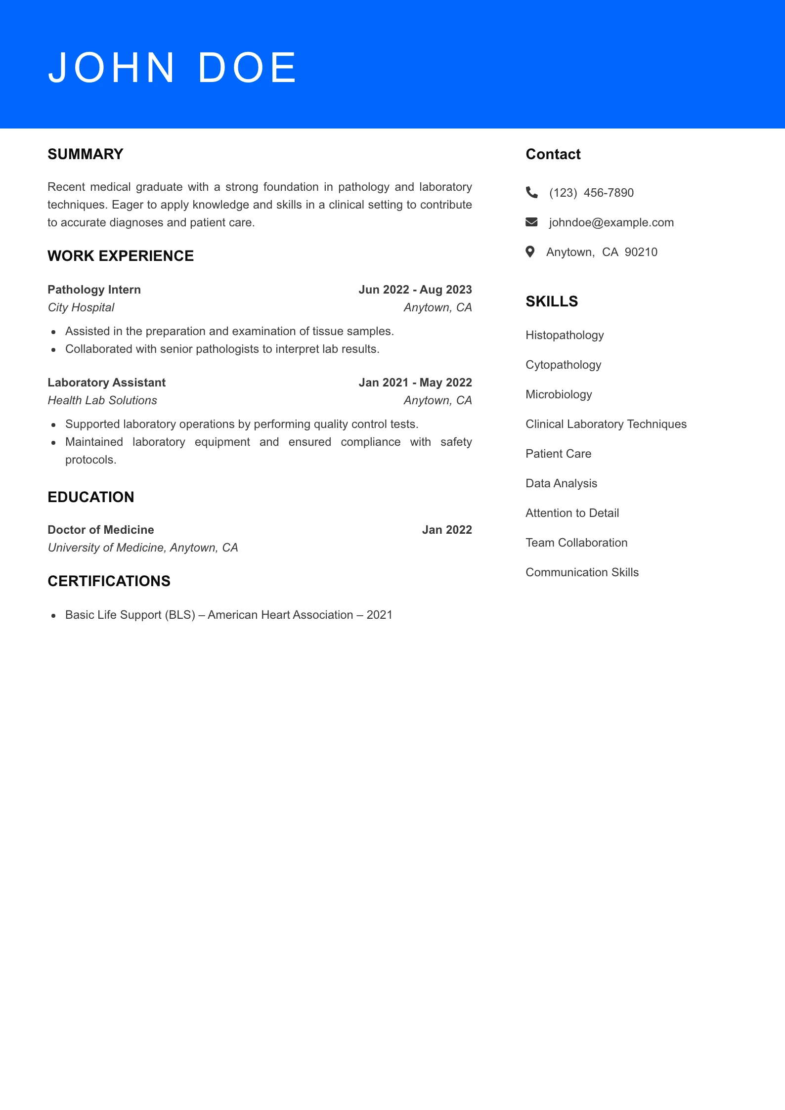 Entry Level Resume Preview