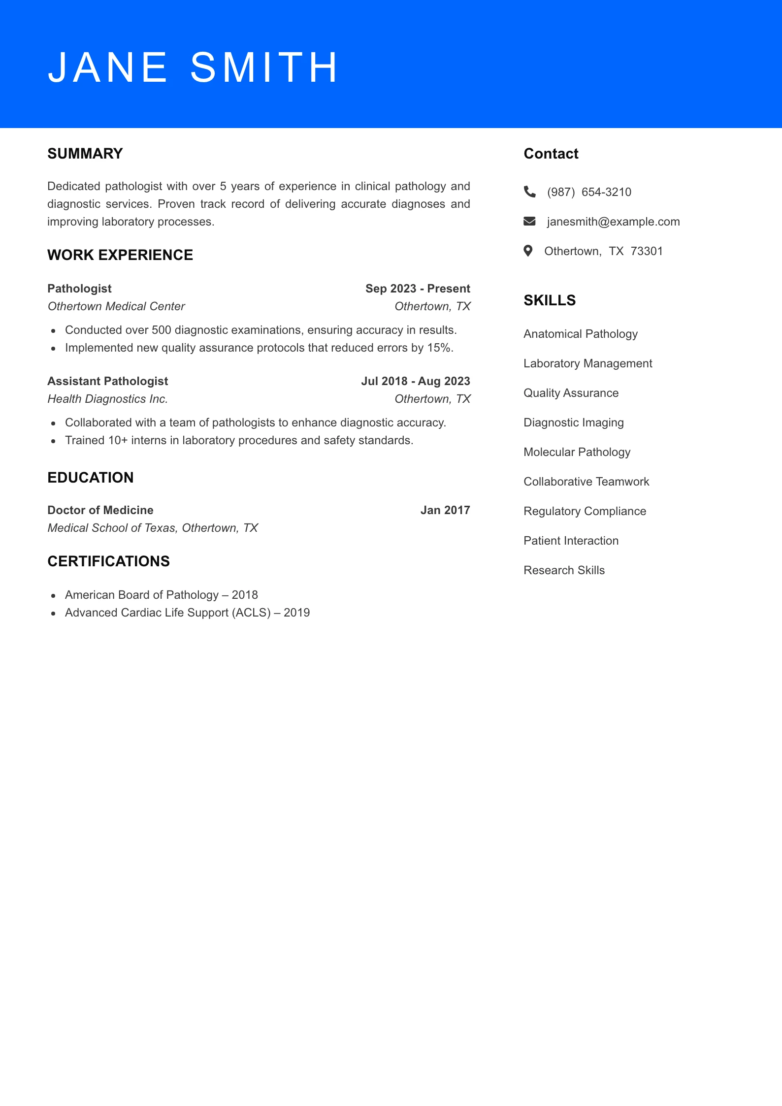 Mid Level Resume Preview