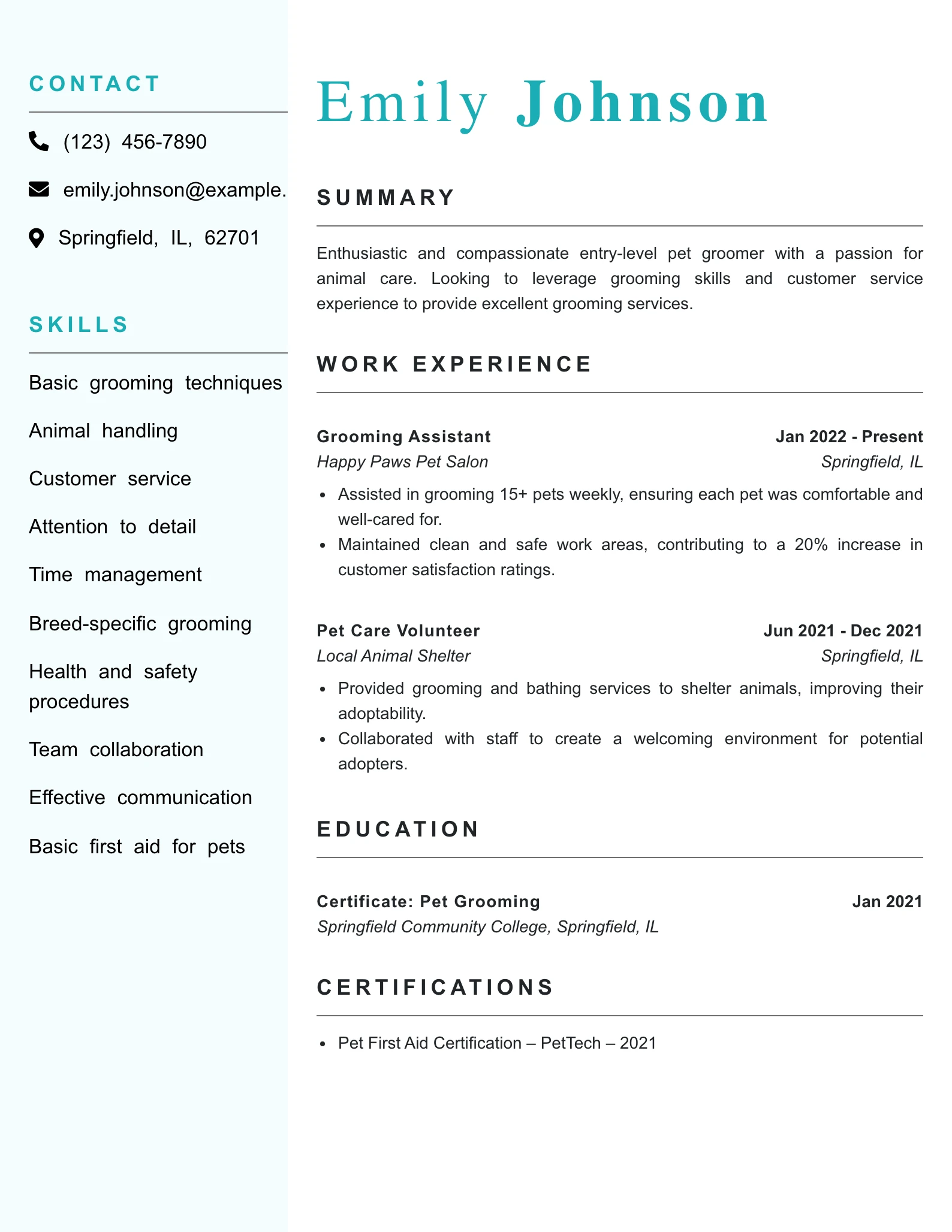 Entry Level Pet Groomer Resume Example