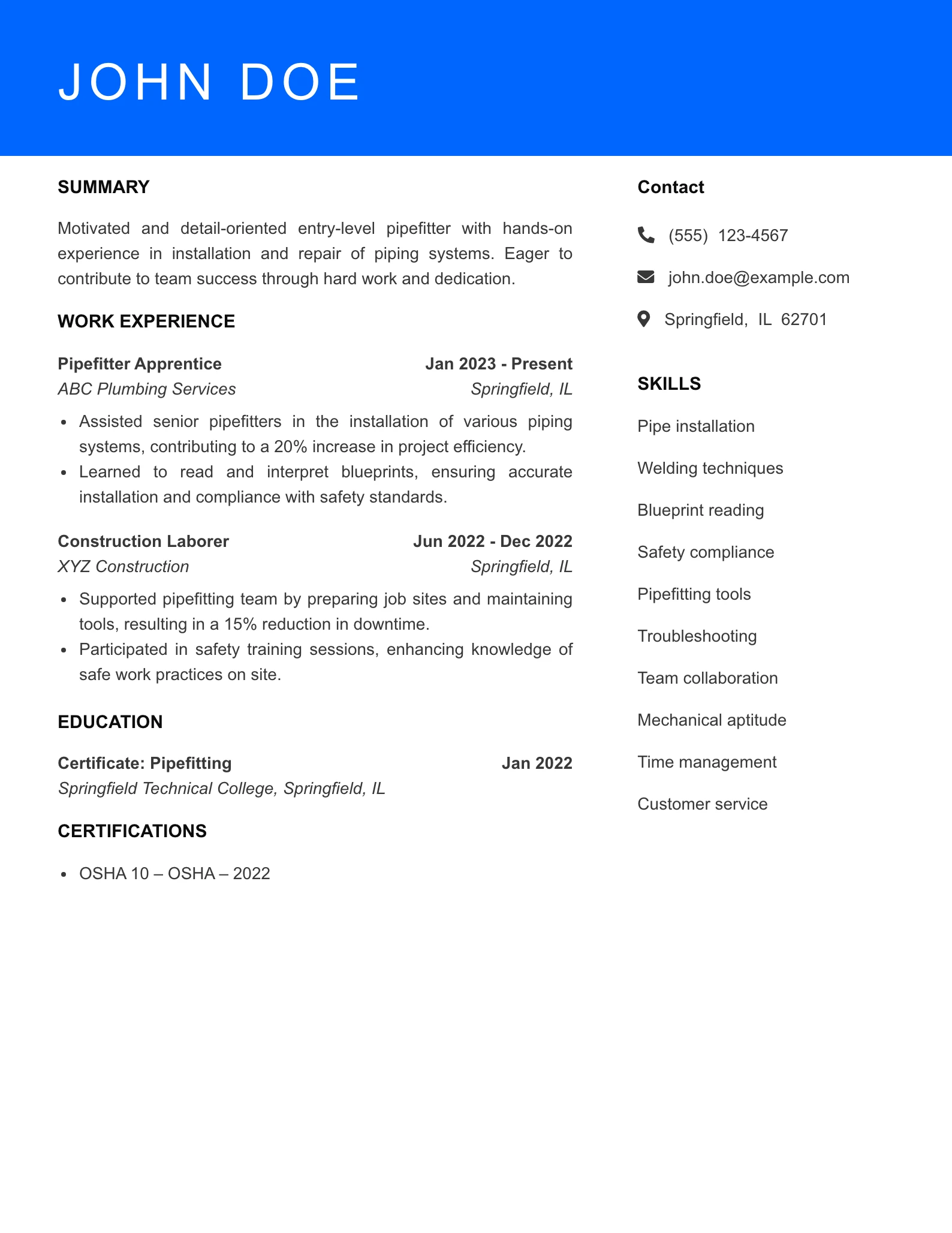 Entry Level Resume Preview