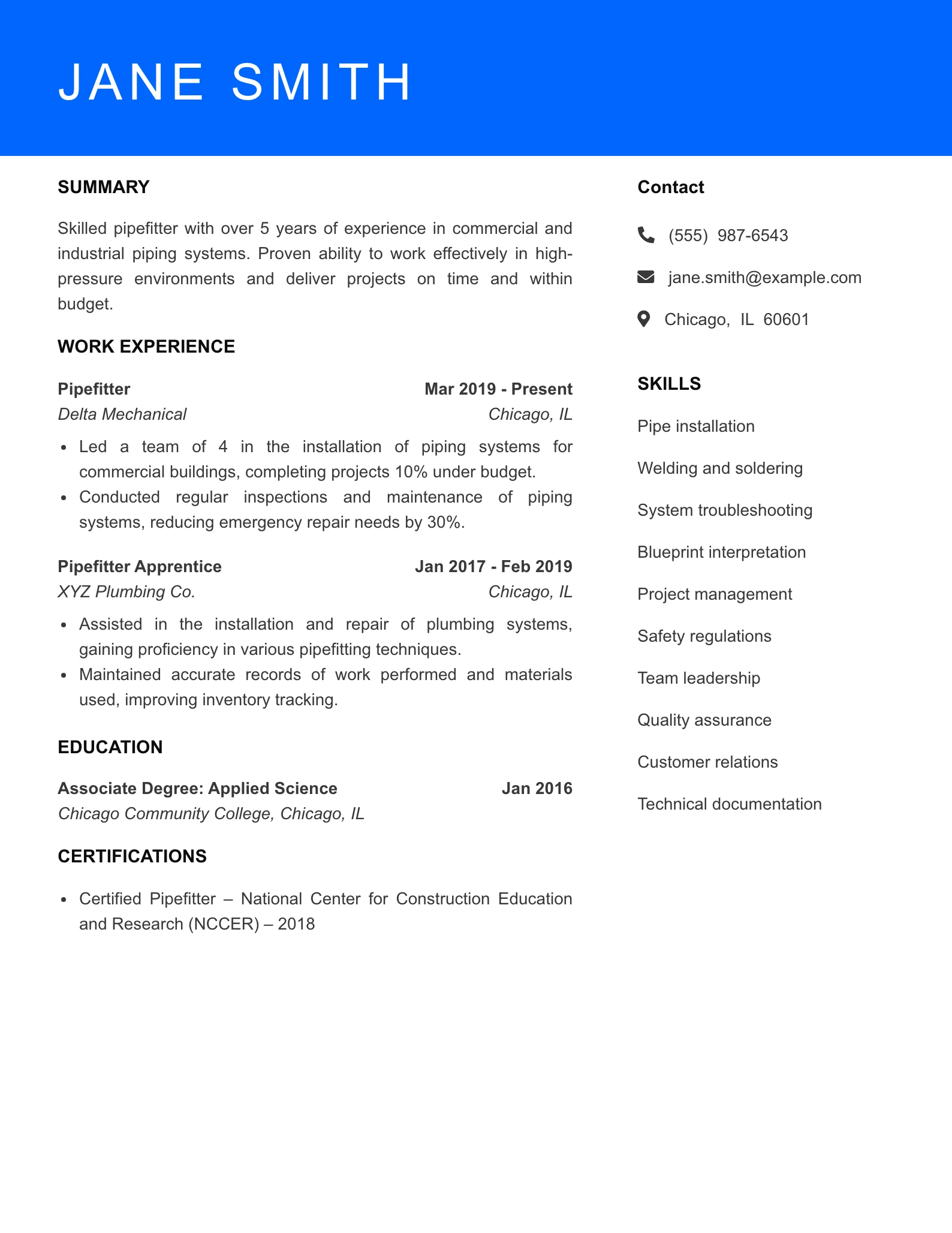 Mid Level Resume Preview