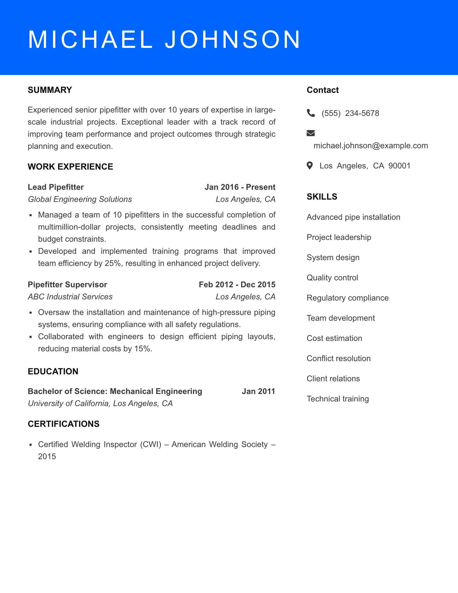 Senior Level Resume Preview
