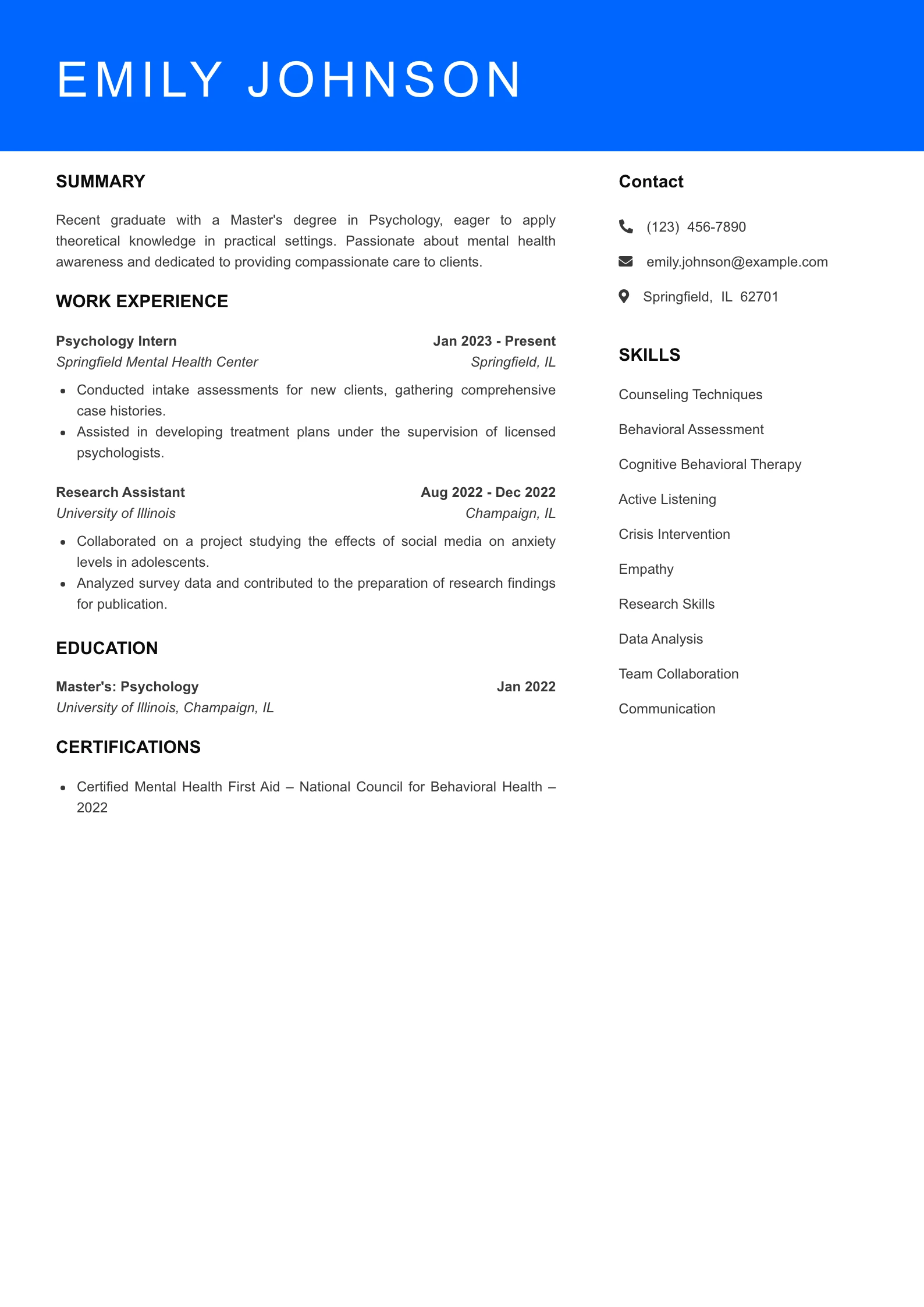 Entry Level Resume Preview