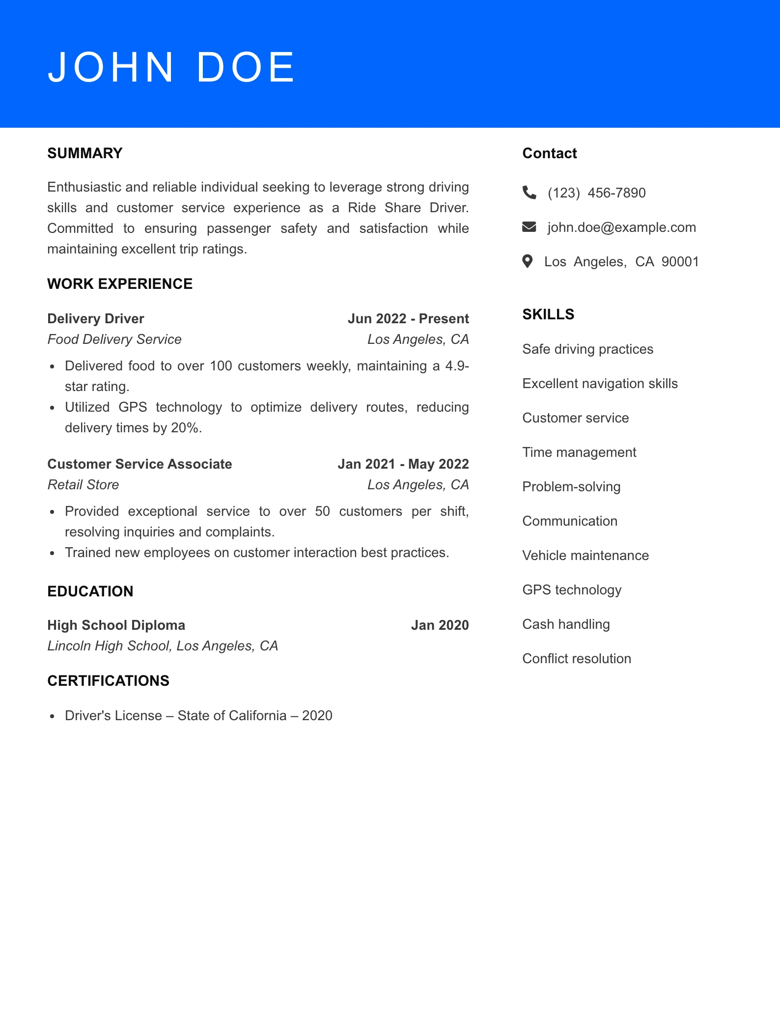 Selected Ride Share Driver Resume