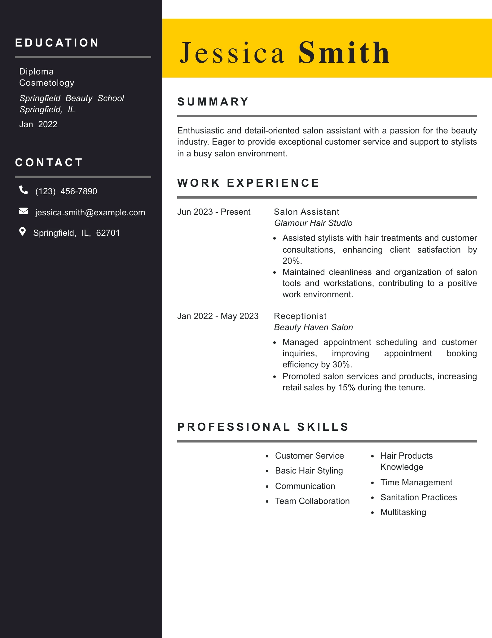 Entry Level Salon Assistant Resume Example
