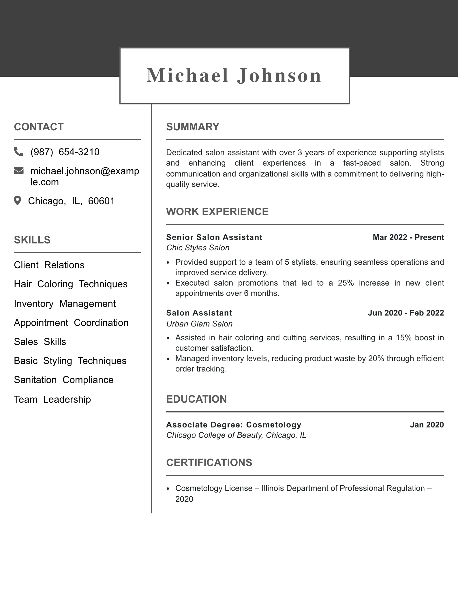 Mid Level Salon Assistant Resume Example