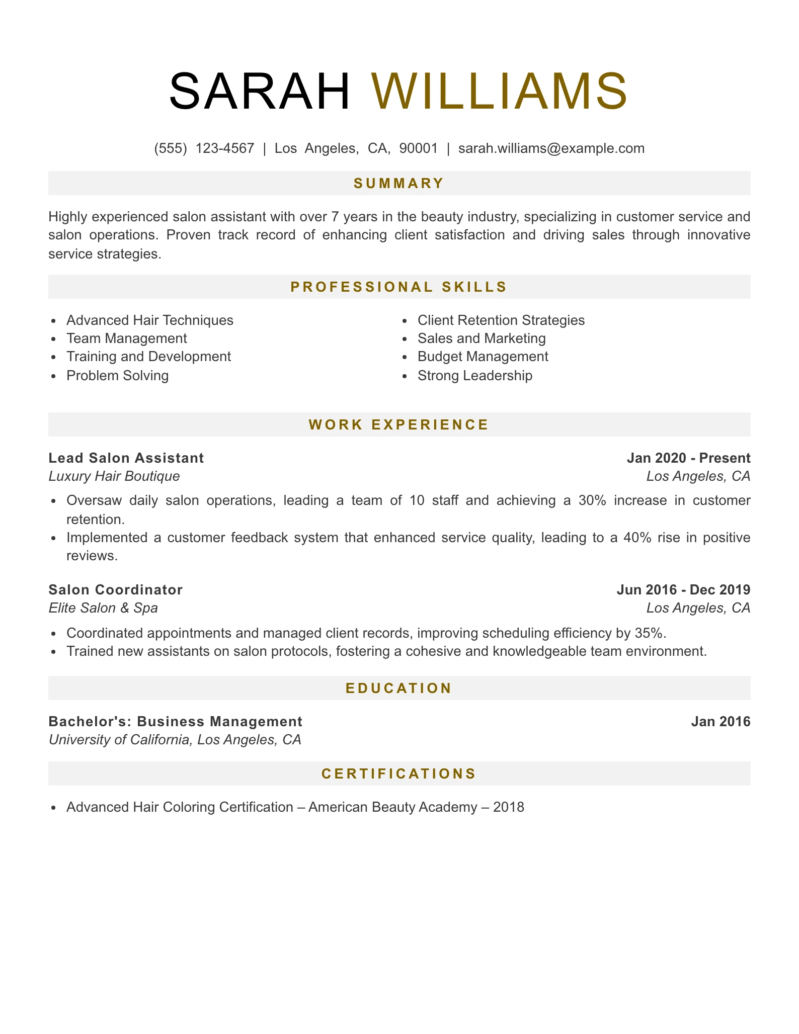 Senior Level Salon Assistant Resume Example