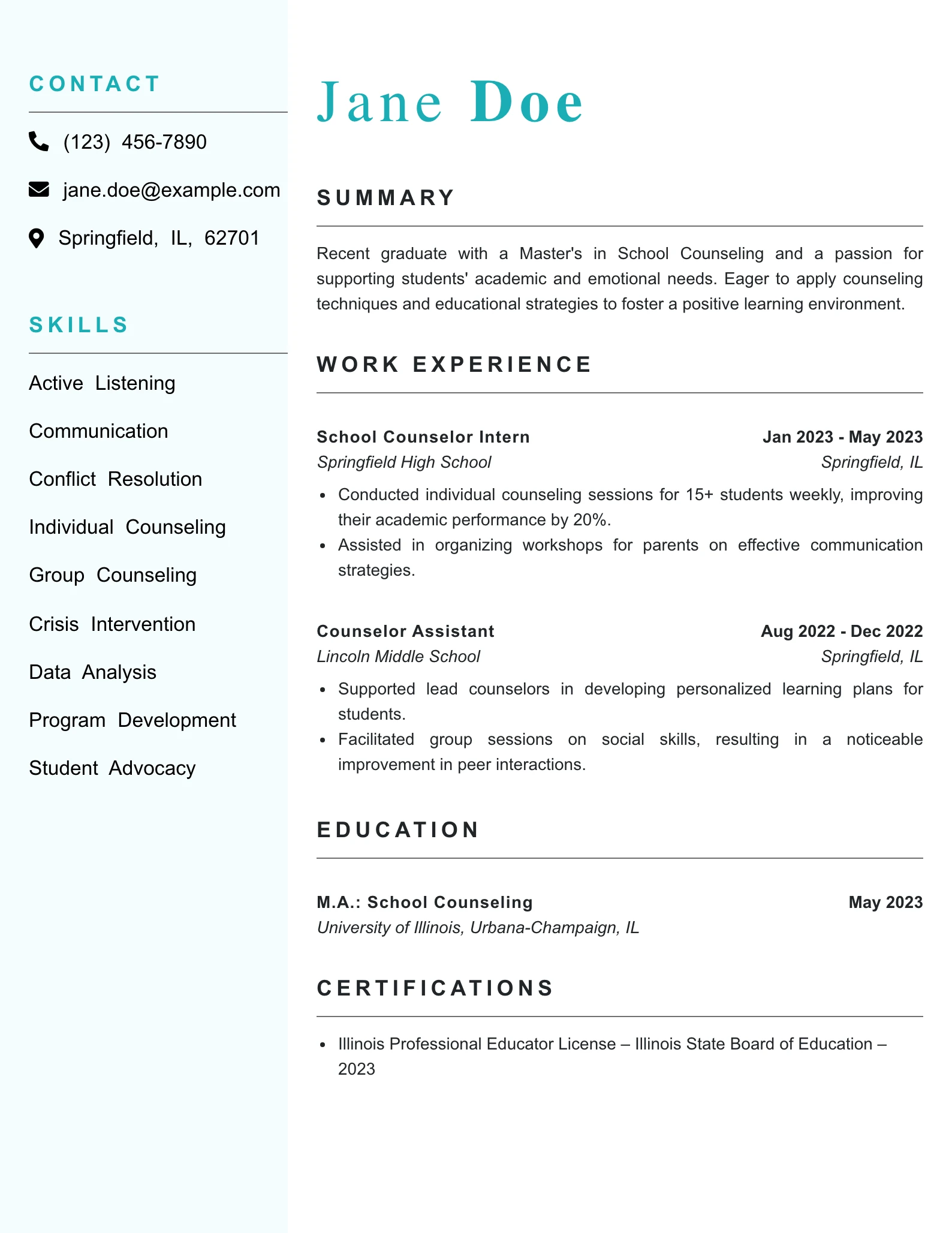 Entry Level School Counselor Resume Example
