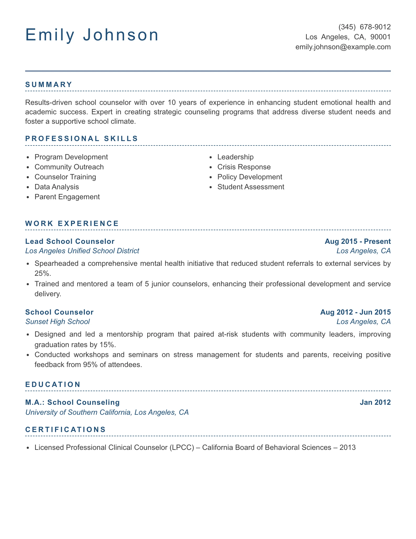 Senior Level School Counselor Resume Example