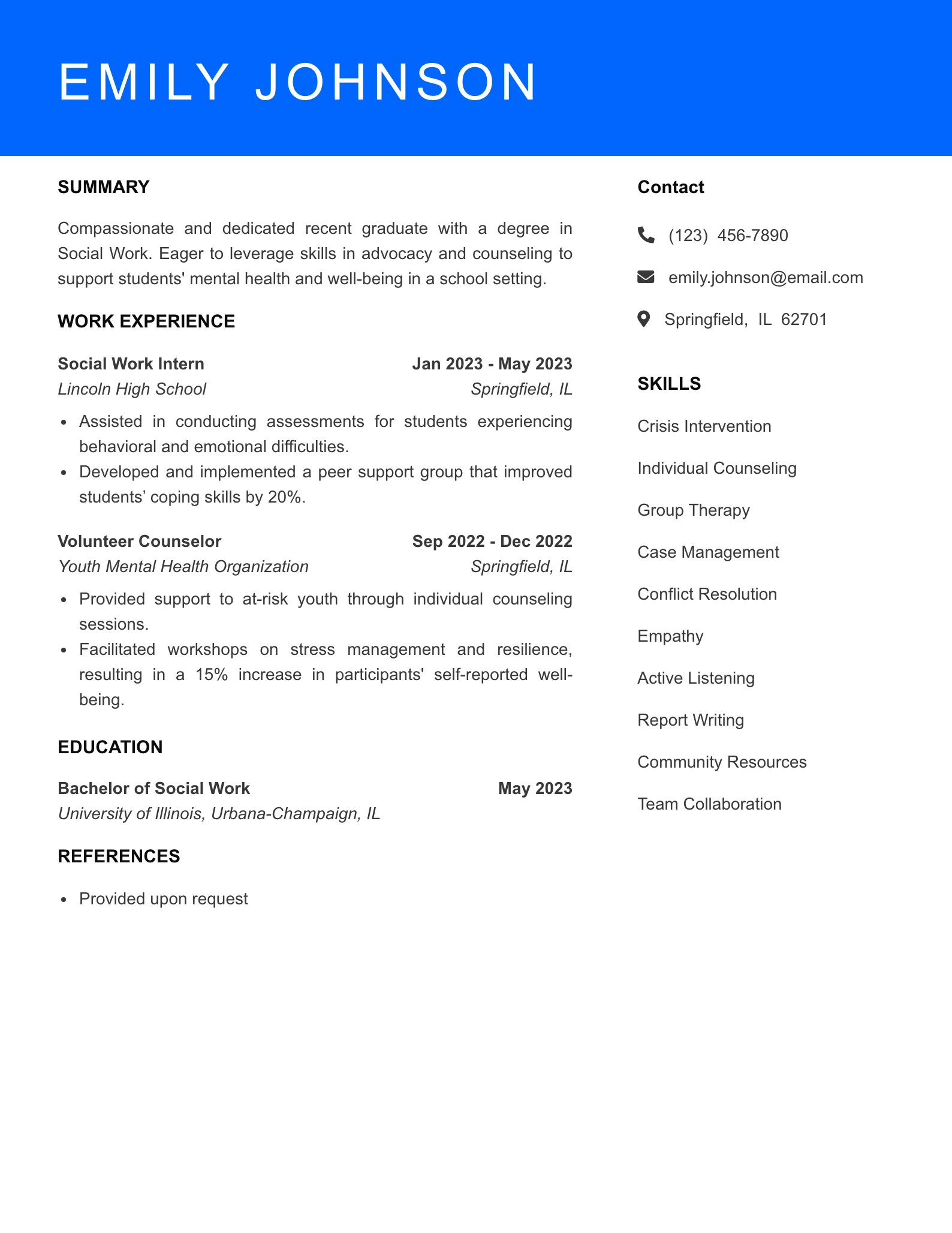 Selected School Social Worker Resume