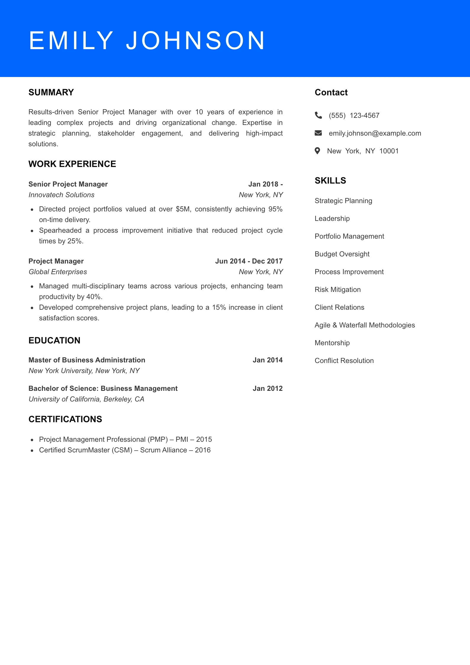 Senior Level Project Manager Resume Example