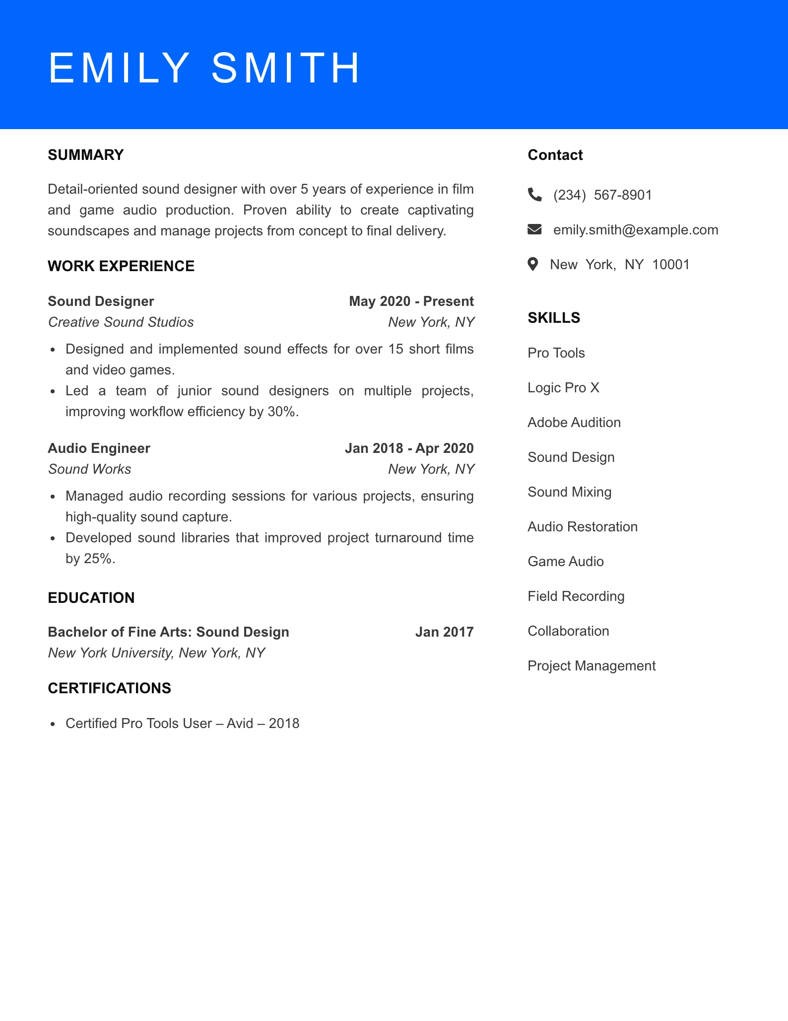 Mid Level Resume Preview