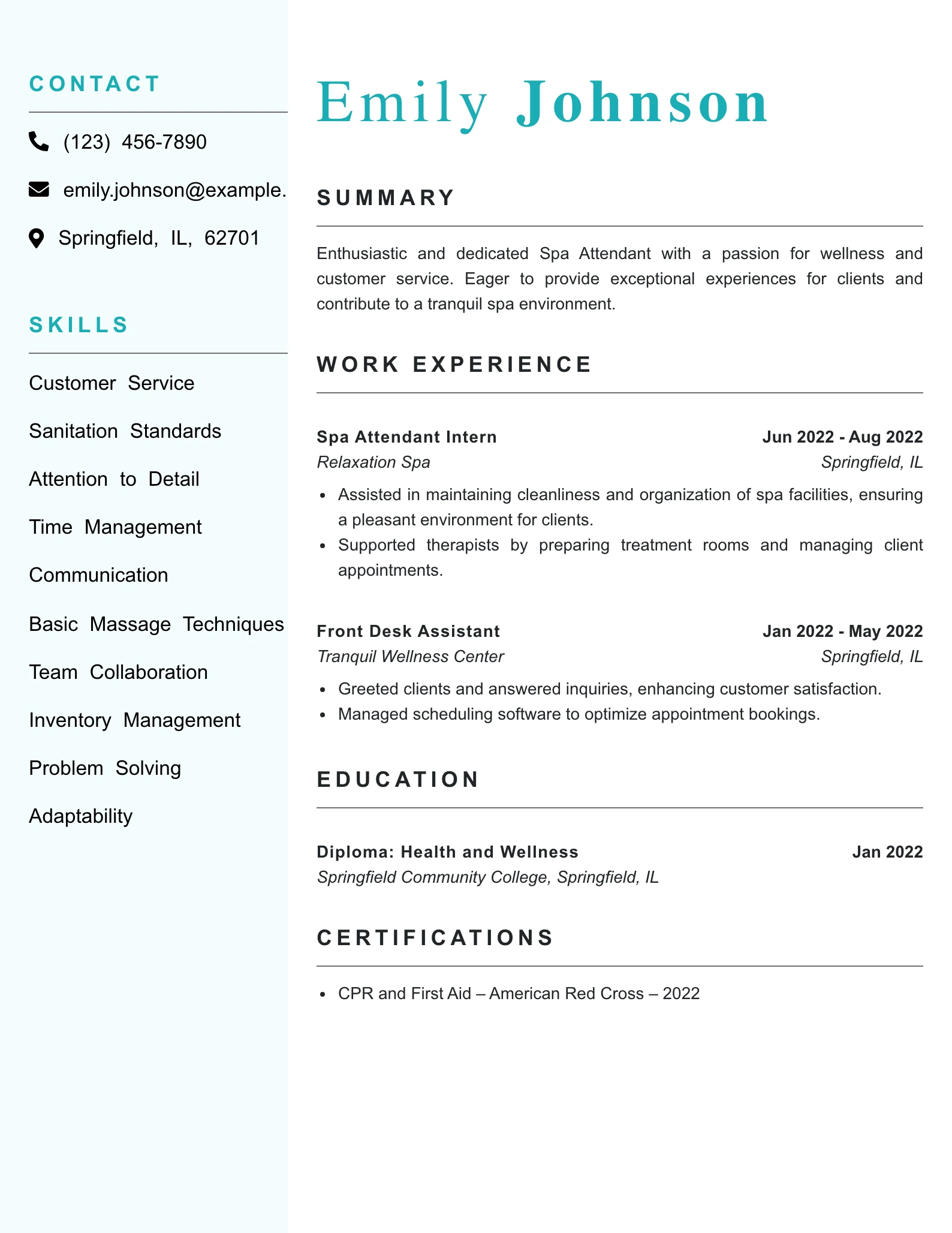 Entry Level Spa Attendant Resume Example