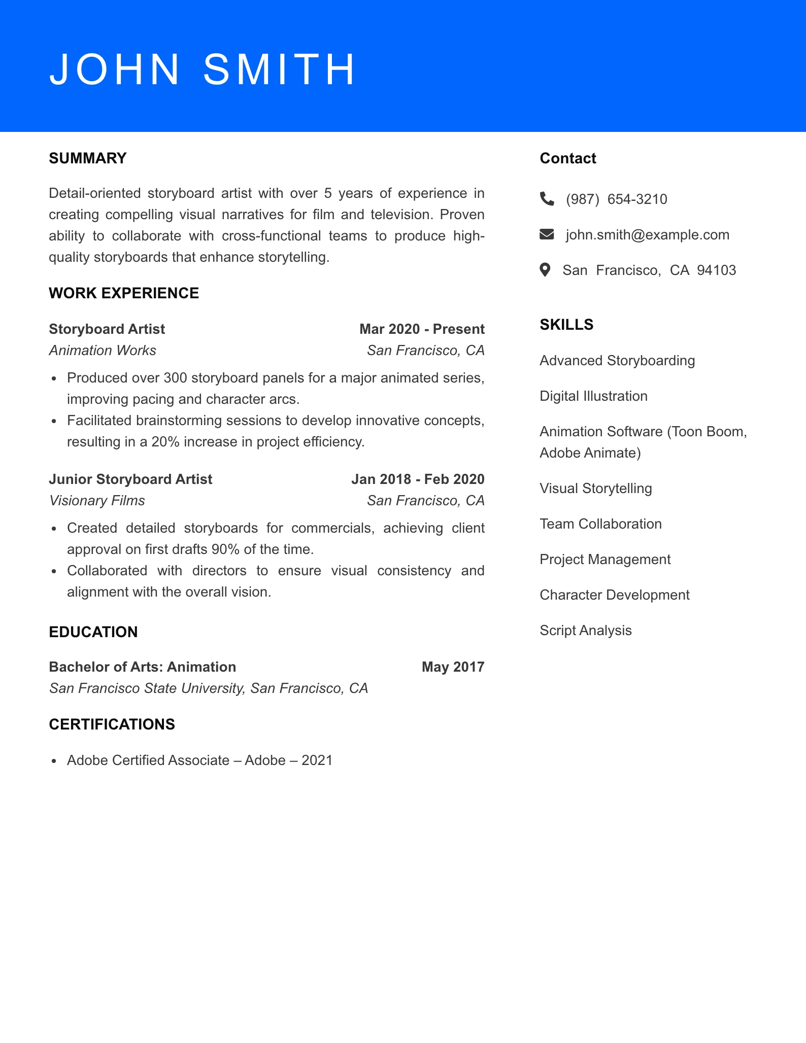 Mid Level Storyboard Artist Resume Sample