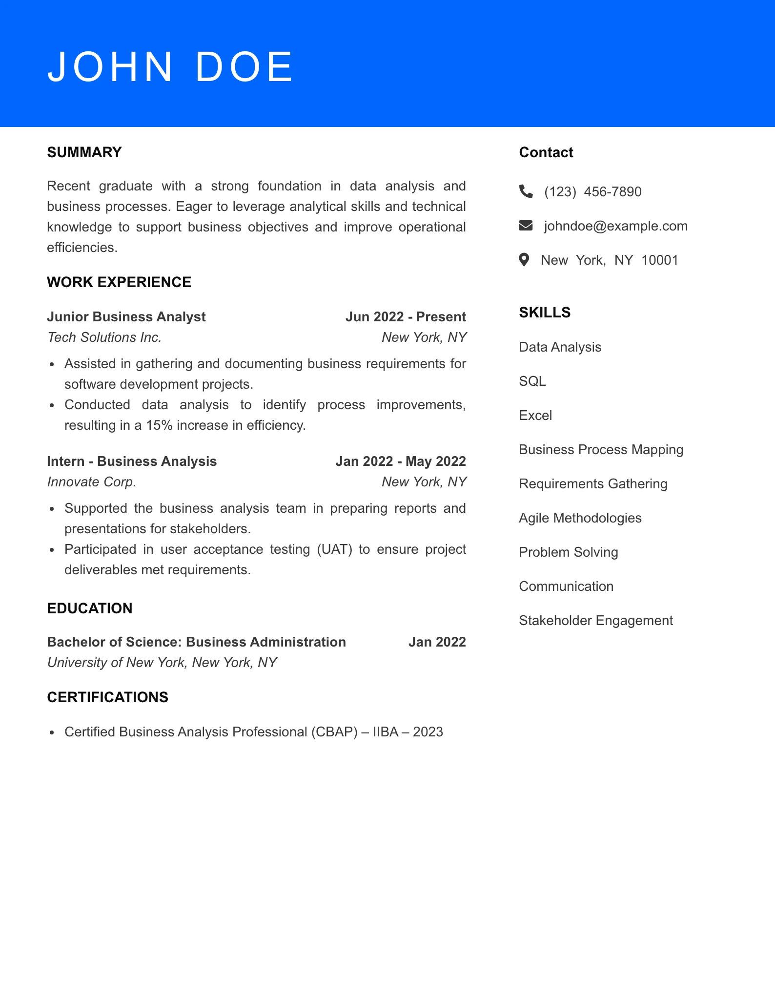 Selected Technical Business Analyst Resume