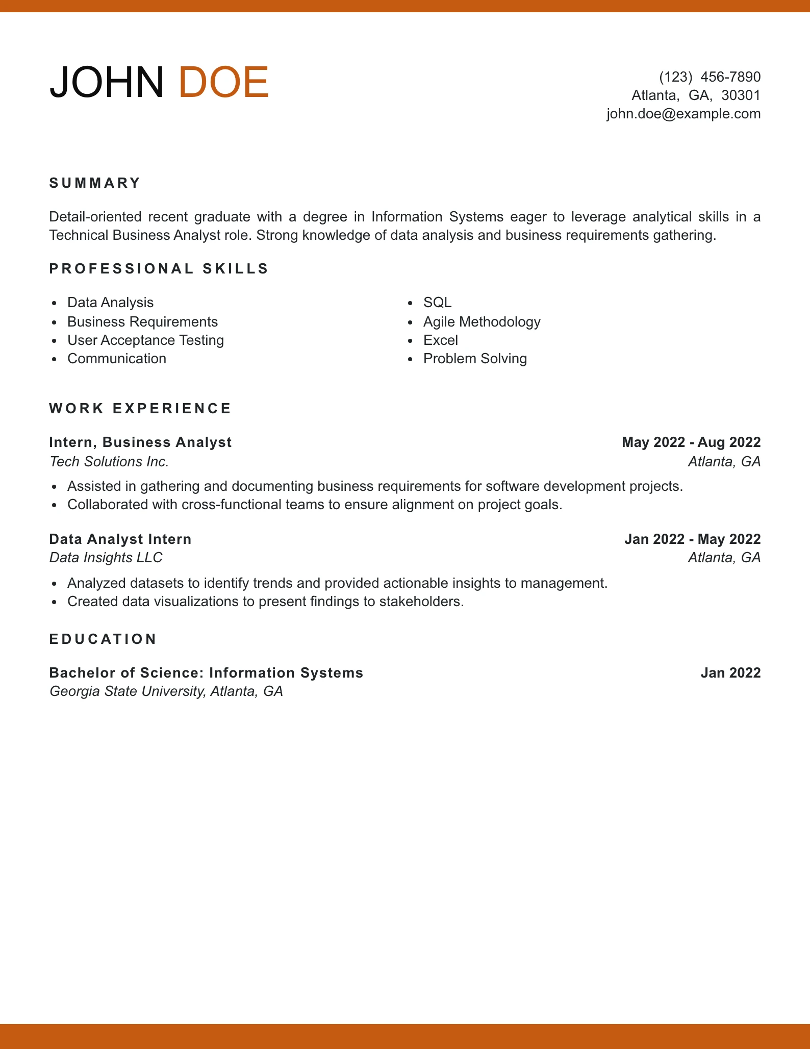 Entry Level Technical Business Analyst Resume Example