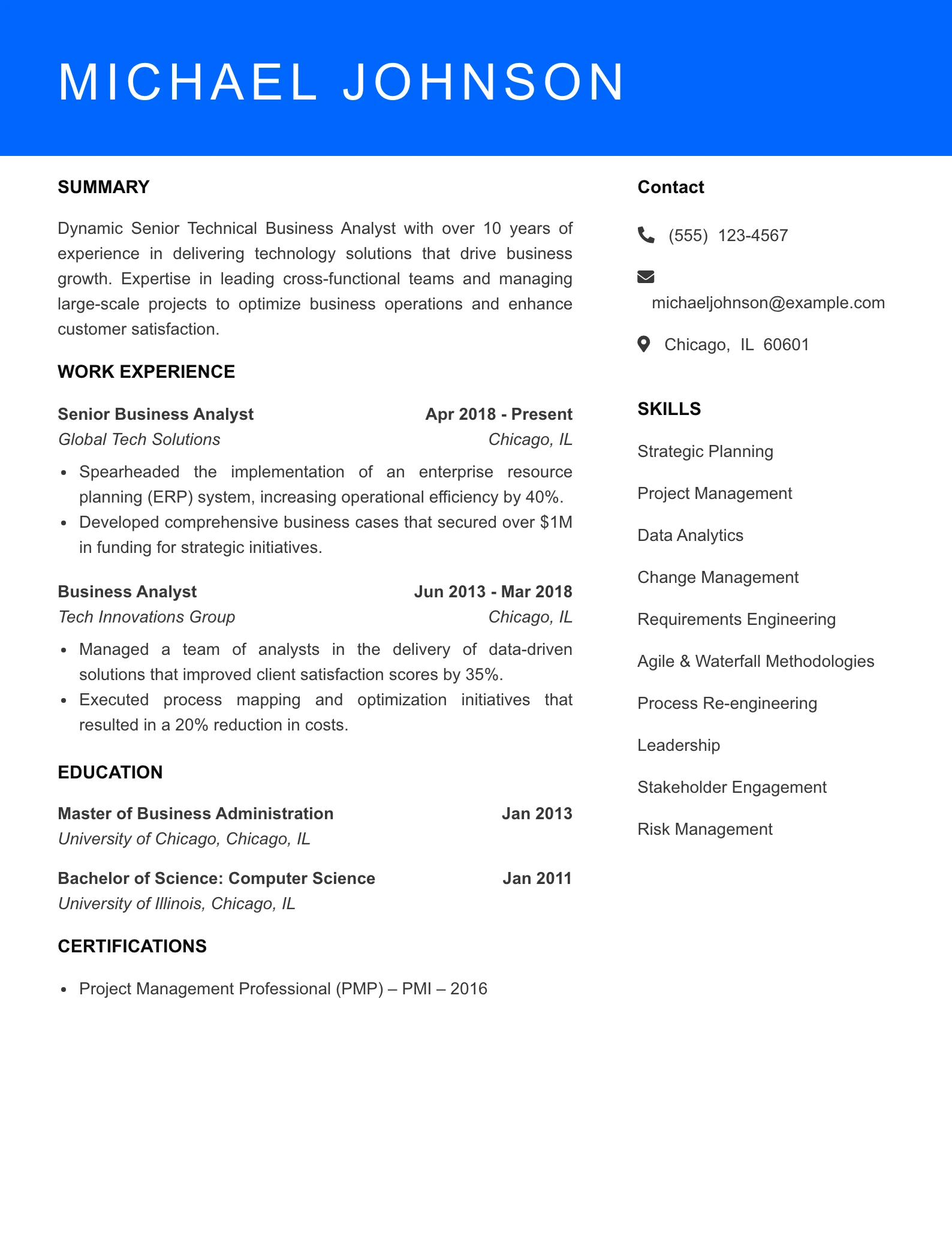 Senior Level Technical Business Analyst Resume Sample