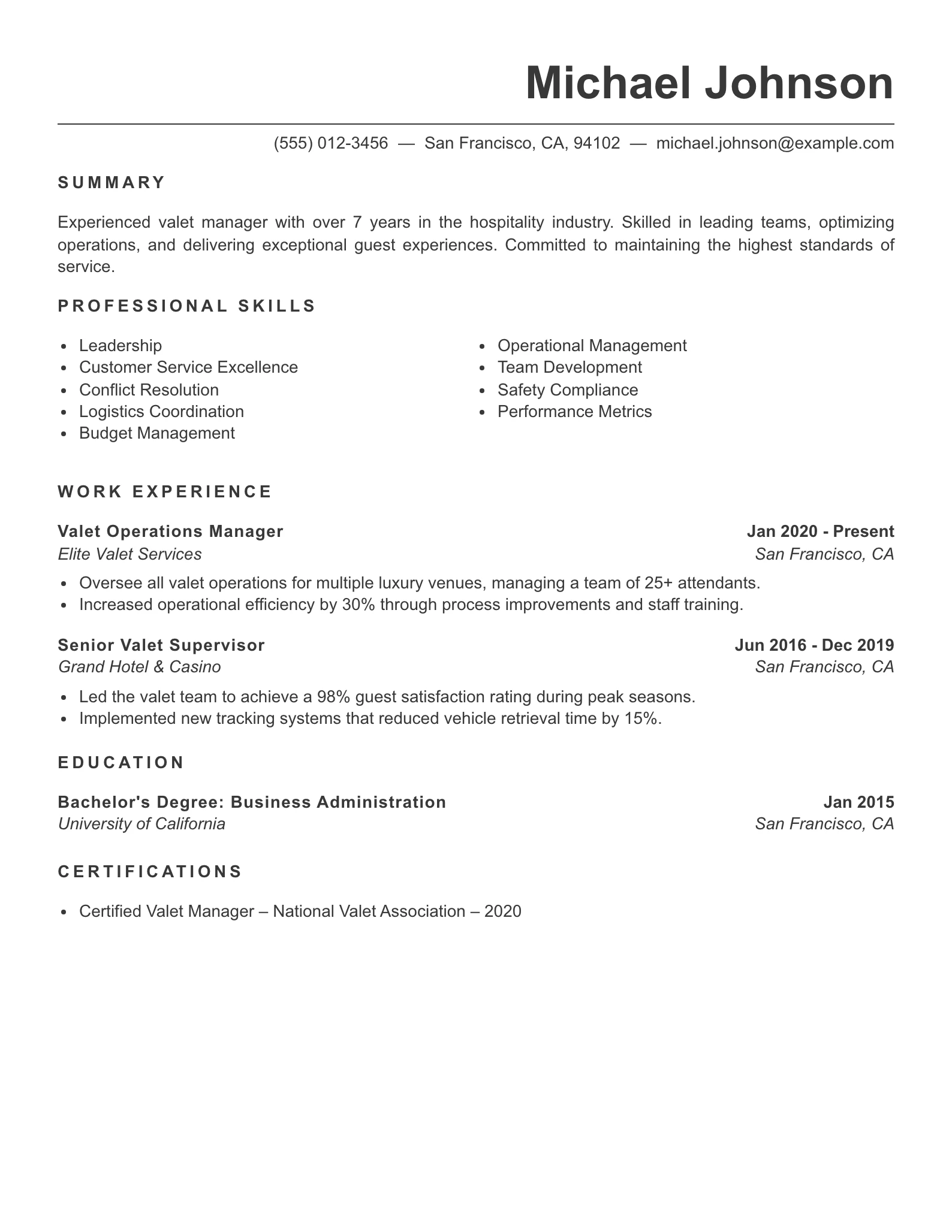 Senior Level Valet Resume Example