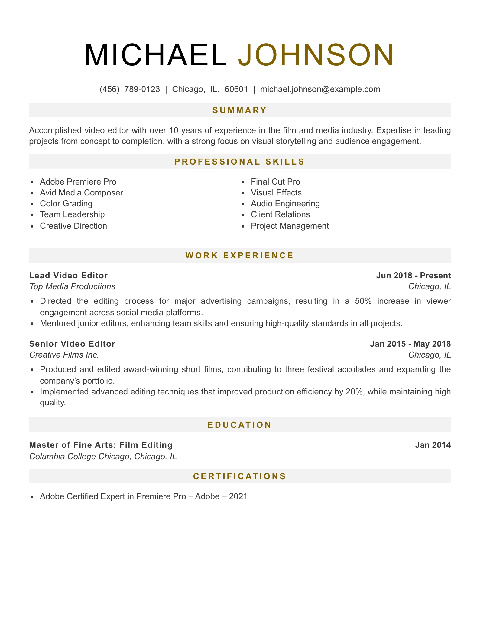 Senior Level Video Editor Resume Example