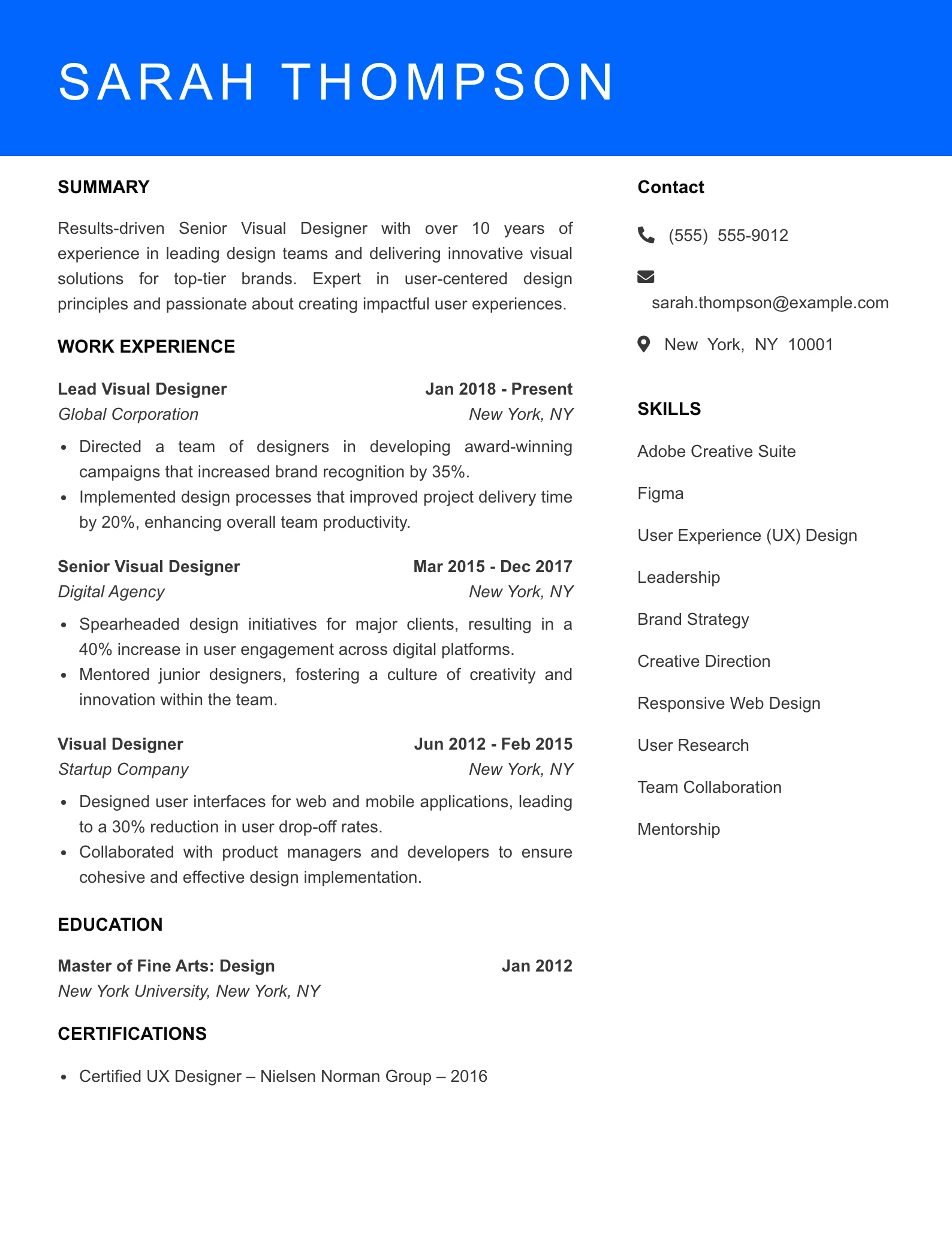 Senior Level Visual Designer Resume Sample