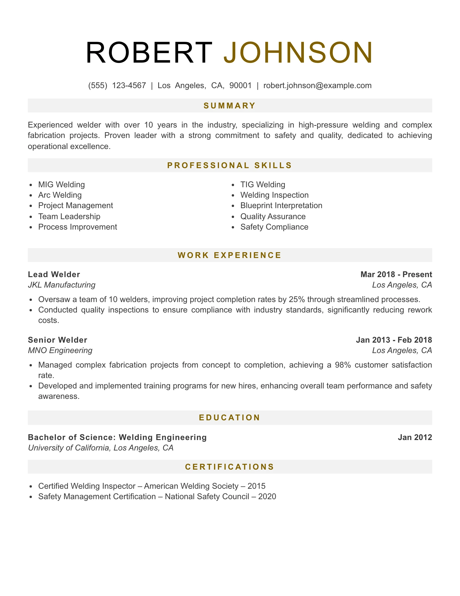 Senior Level Welder Resume Example