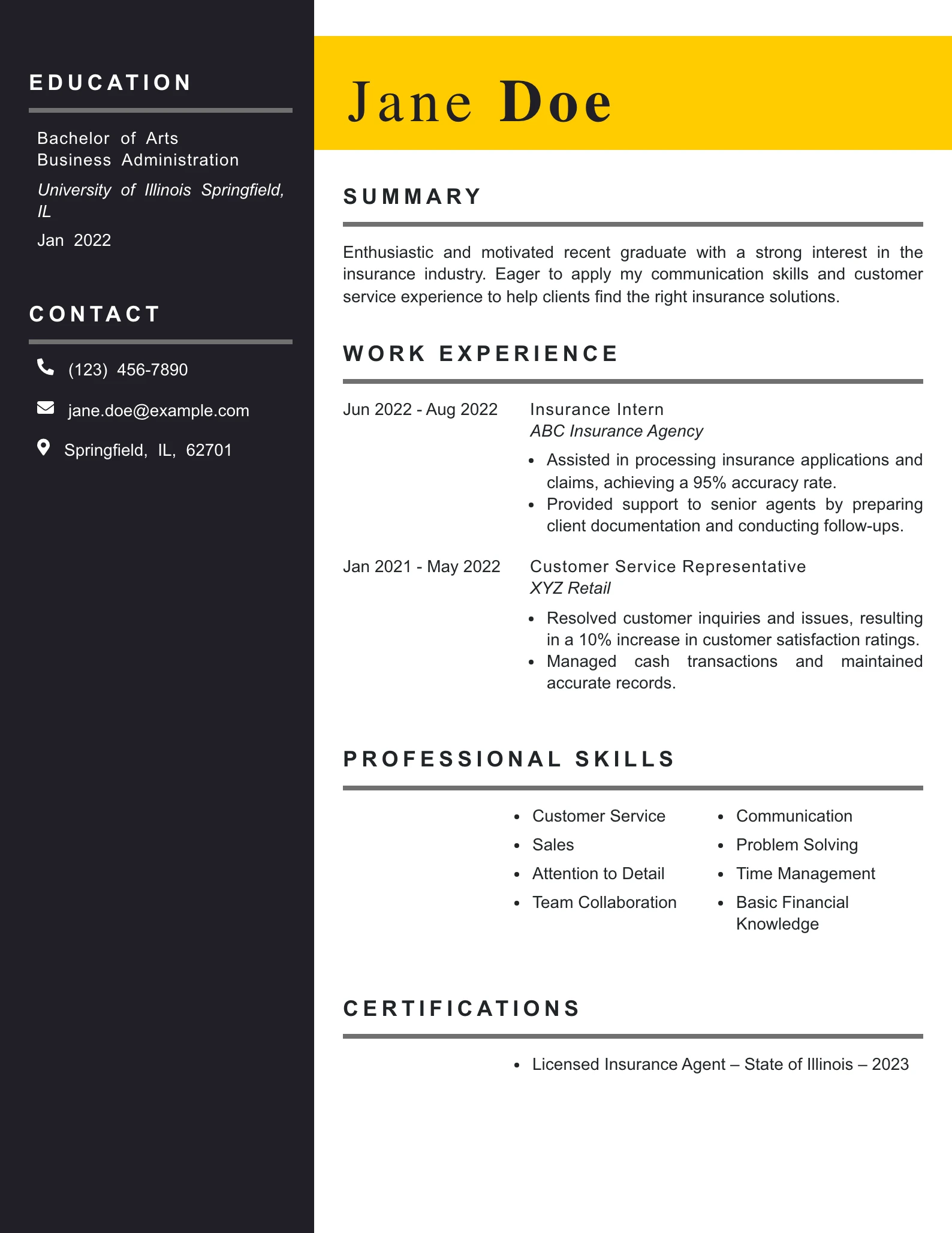 Entry Level Insurance Agent Resume Example
