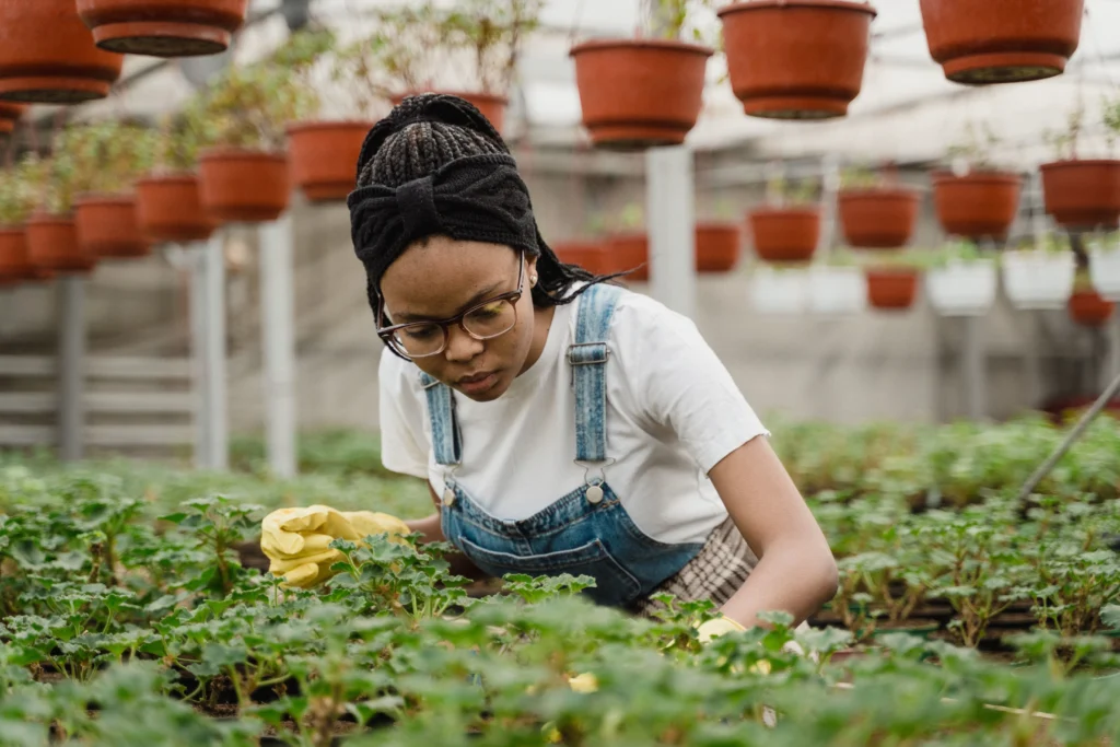 What Jobs Hire At 14 And 15 – teen caring for plants in a greenhouse, representing gardening, plant nursery, and outdoor job opportunities for teenagers.