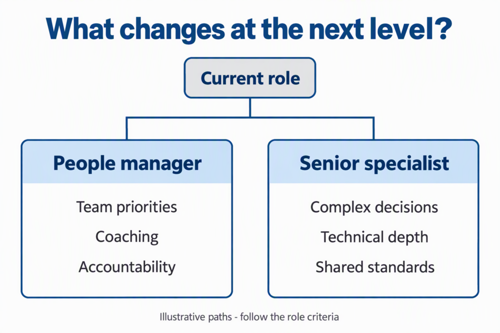 management-and-specialist-promotion-paths Two promotion paths distinguish people management from senior specialist work.